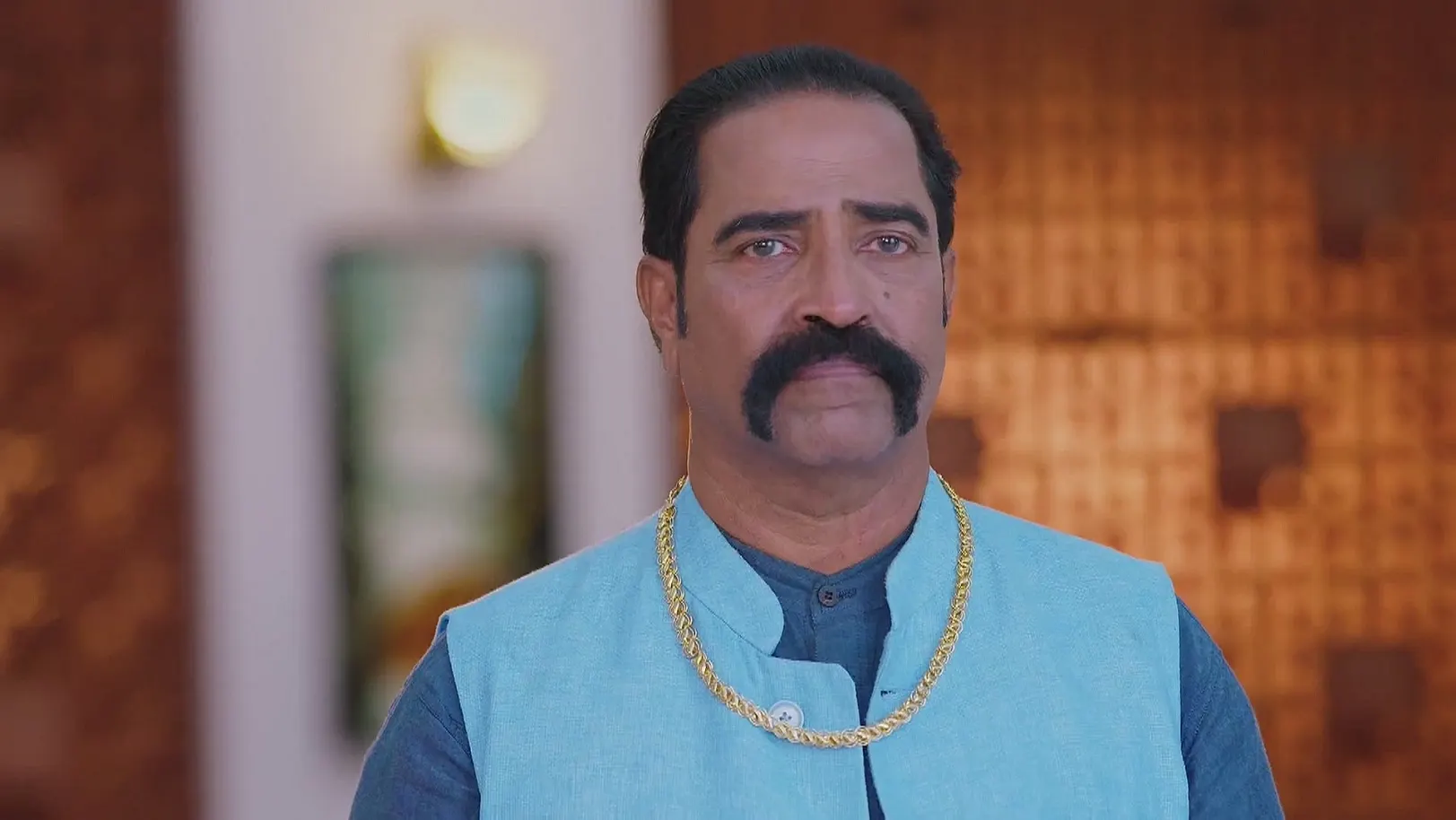 Lakshmi Niwas - May 24, 2025 - Webisode 24th May 2025 Webisode