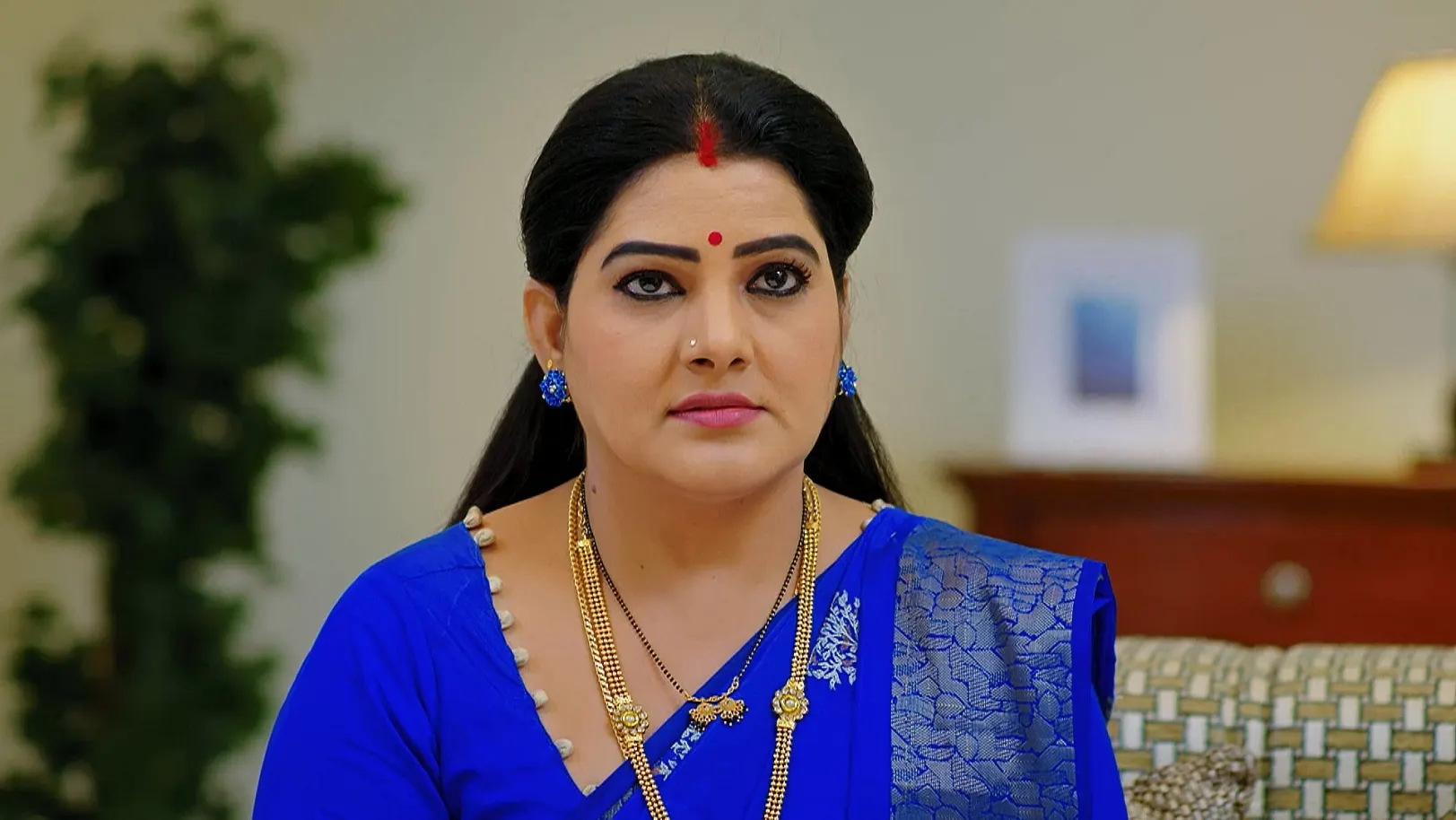 Hrudaya Geethe - May 29, 2025 - Episode Spoiler