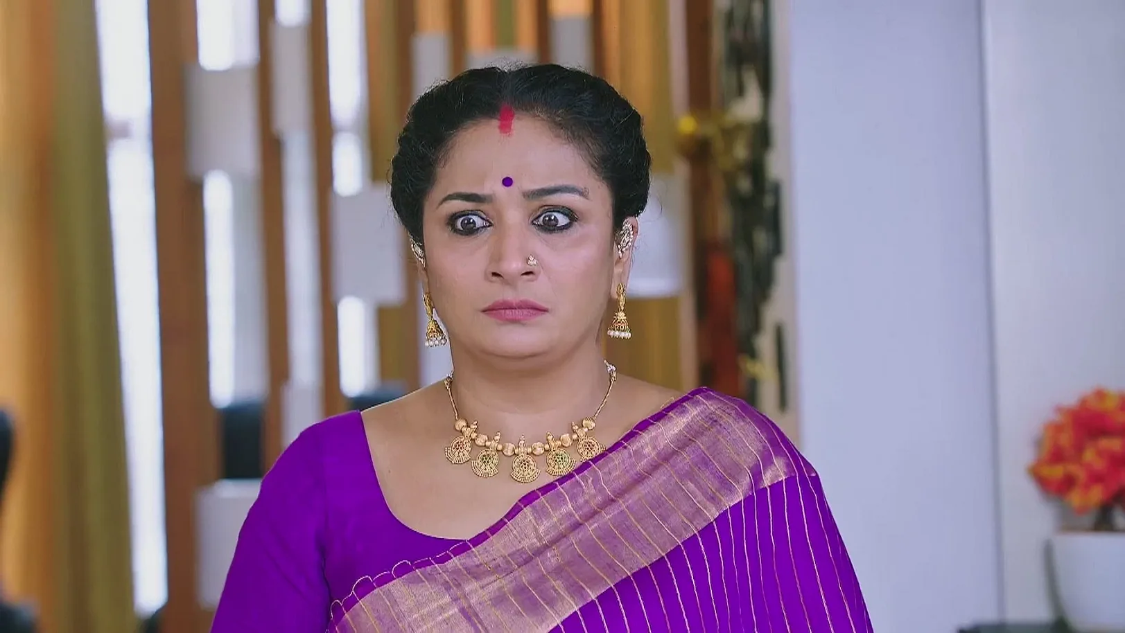 Subbu Learns about Vandana's Depression 29th May 2025 Webisode