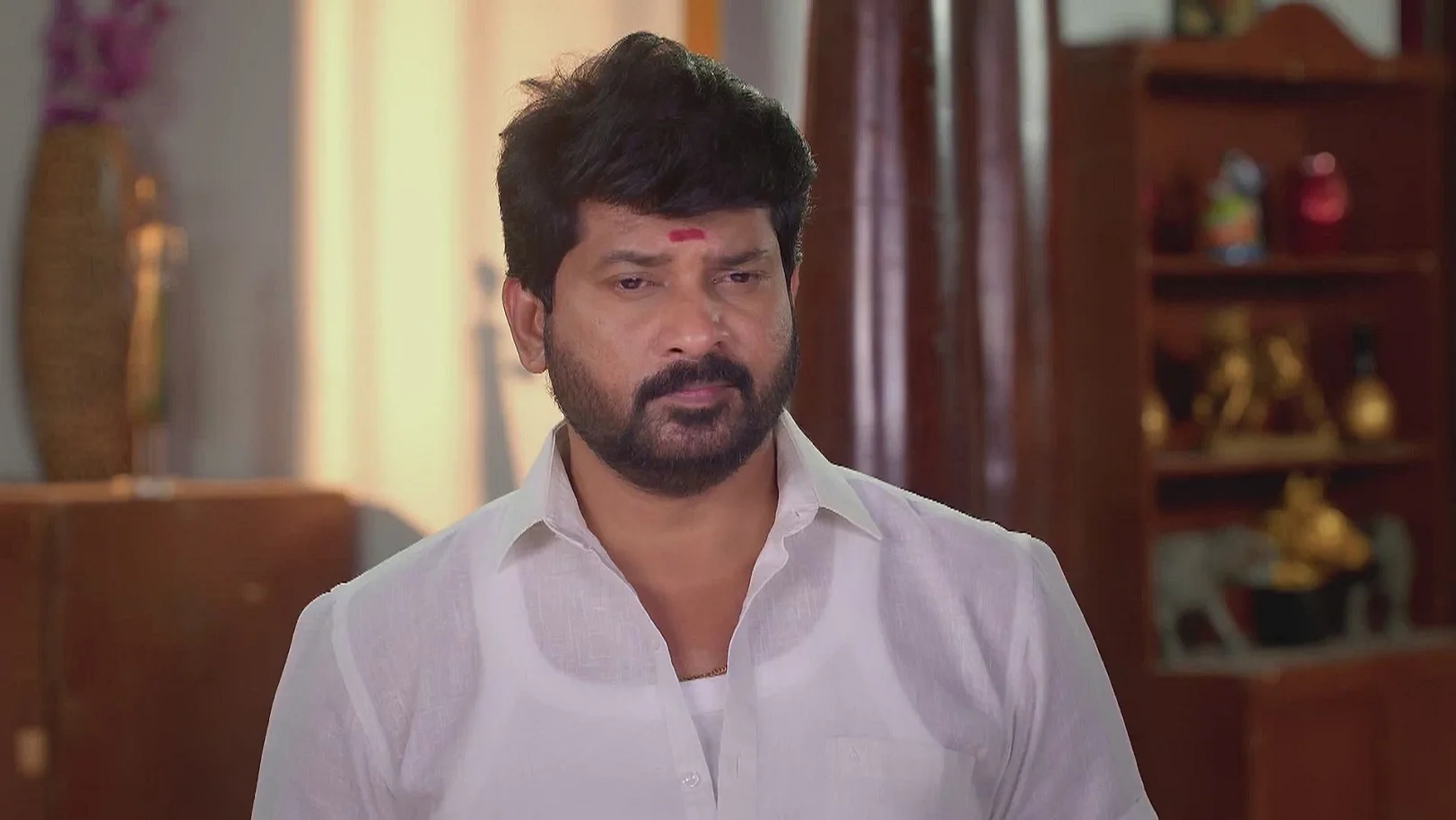 Karthigai Deepam - May 28, 2025 - Best Scene 
