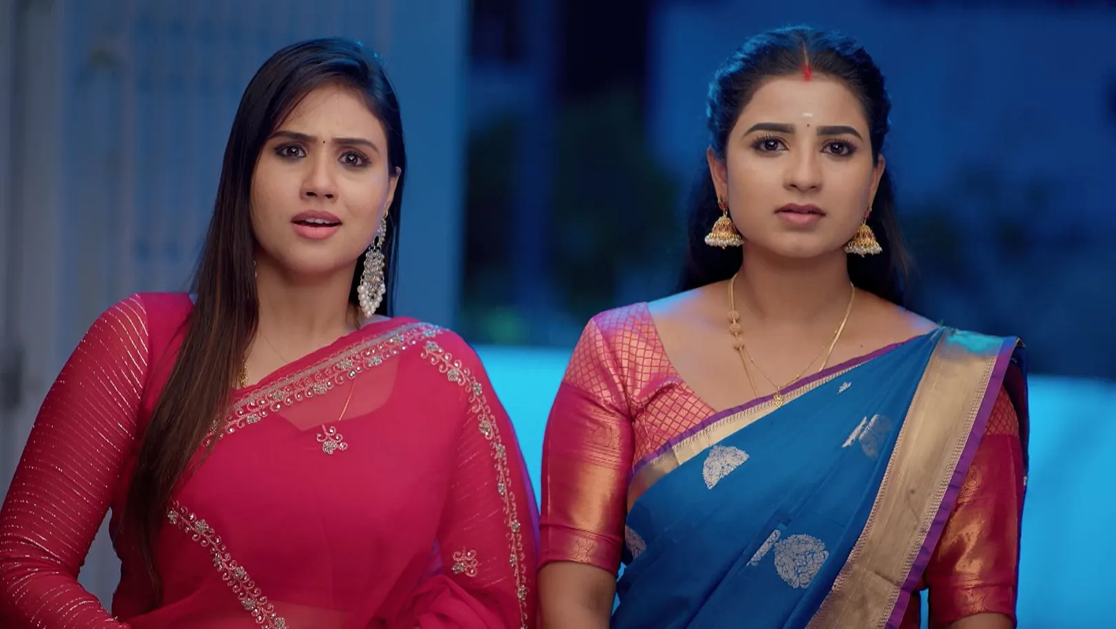 Karthigai Deepam - May 30, 2025 - Episode Spoiler