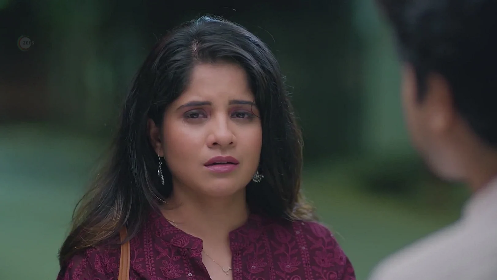 Lakshmi Niwas - June 04, 2025 - Webisode 4th June 2025 Webisode