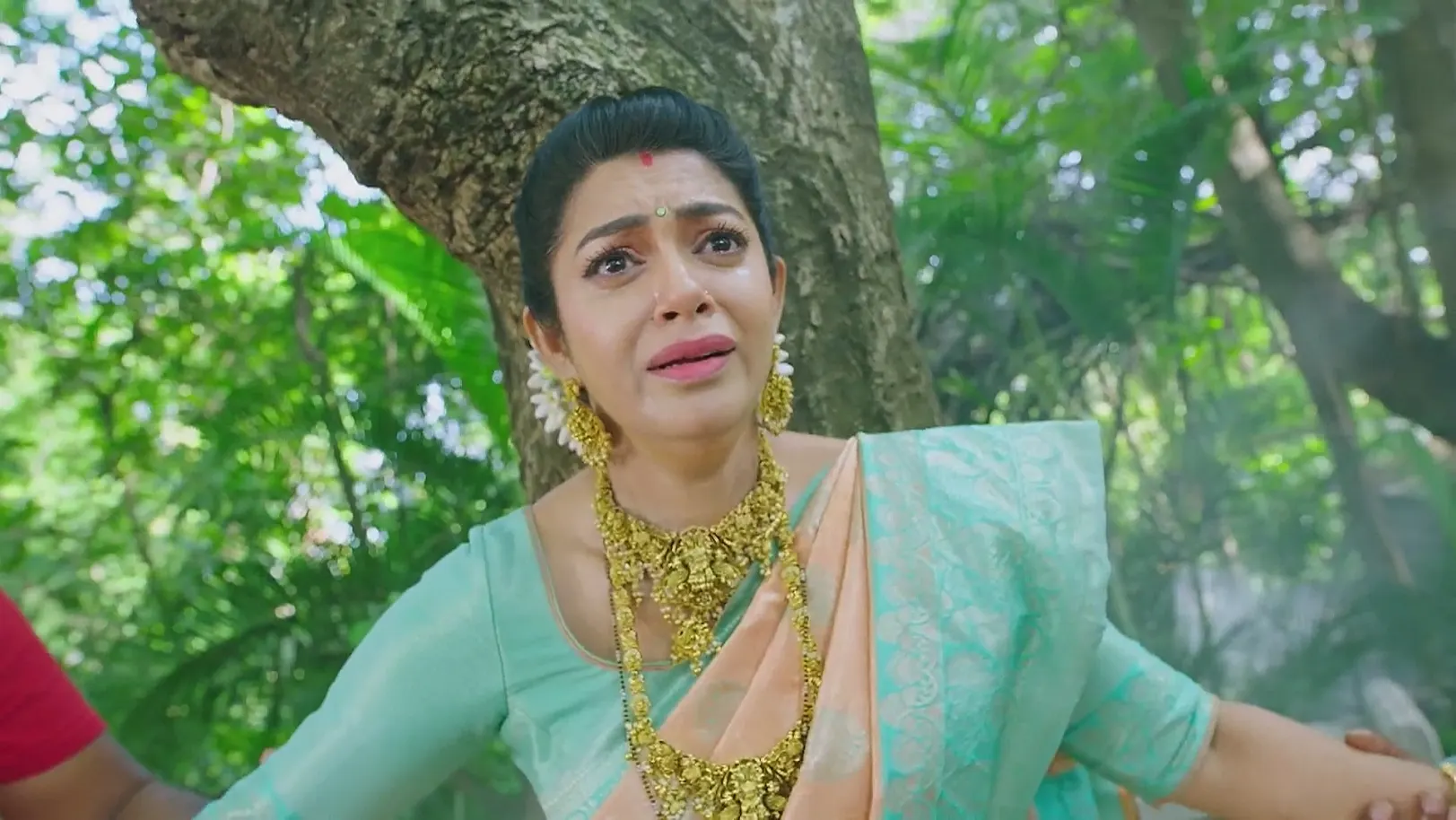 Amruthadhaare - June 15, 2025 - Webisode 15th June 2025 Webisode