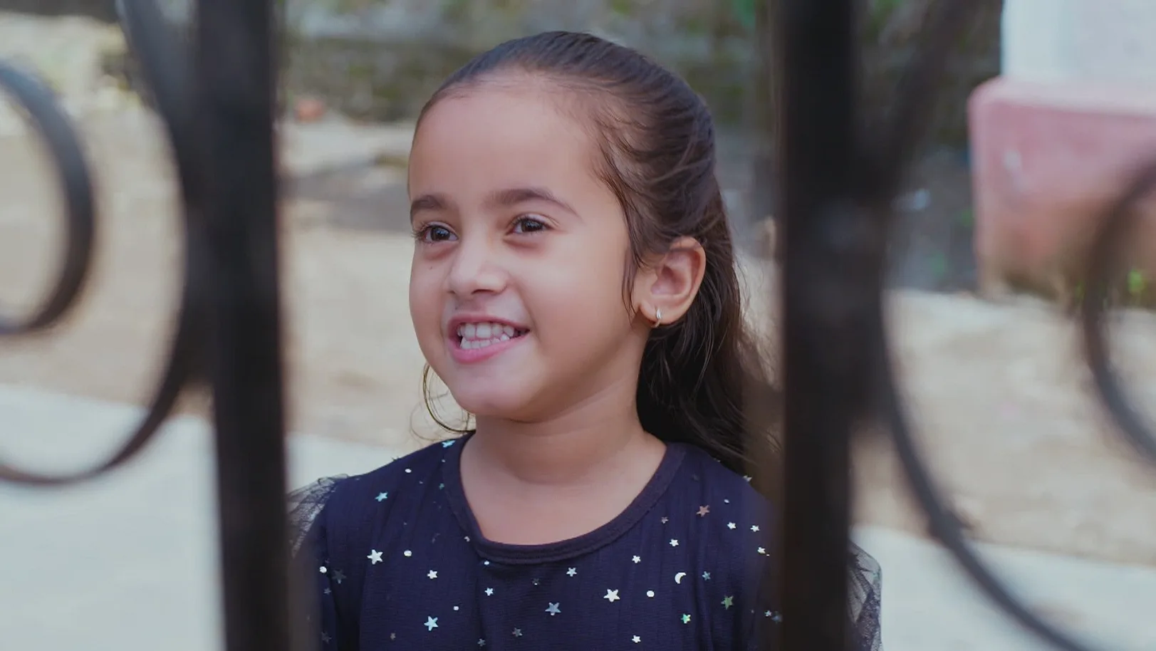Lakshmi Niwas - June 14, 2025 - Episode Spoiler