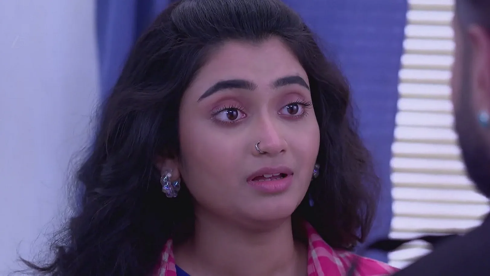 Menon Arrives to Ask about Jagadhatri - Jagadhatri 