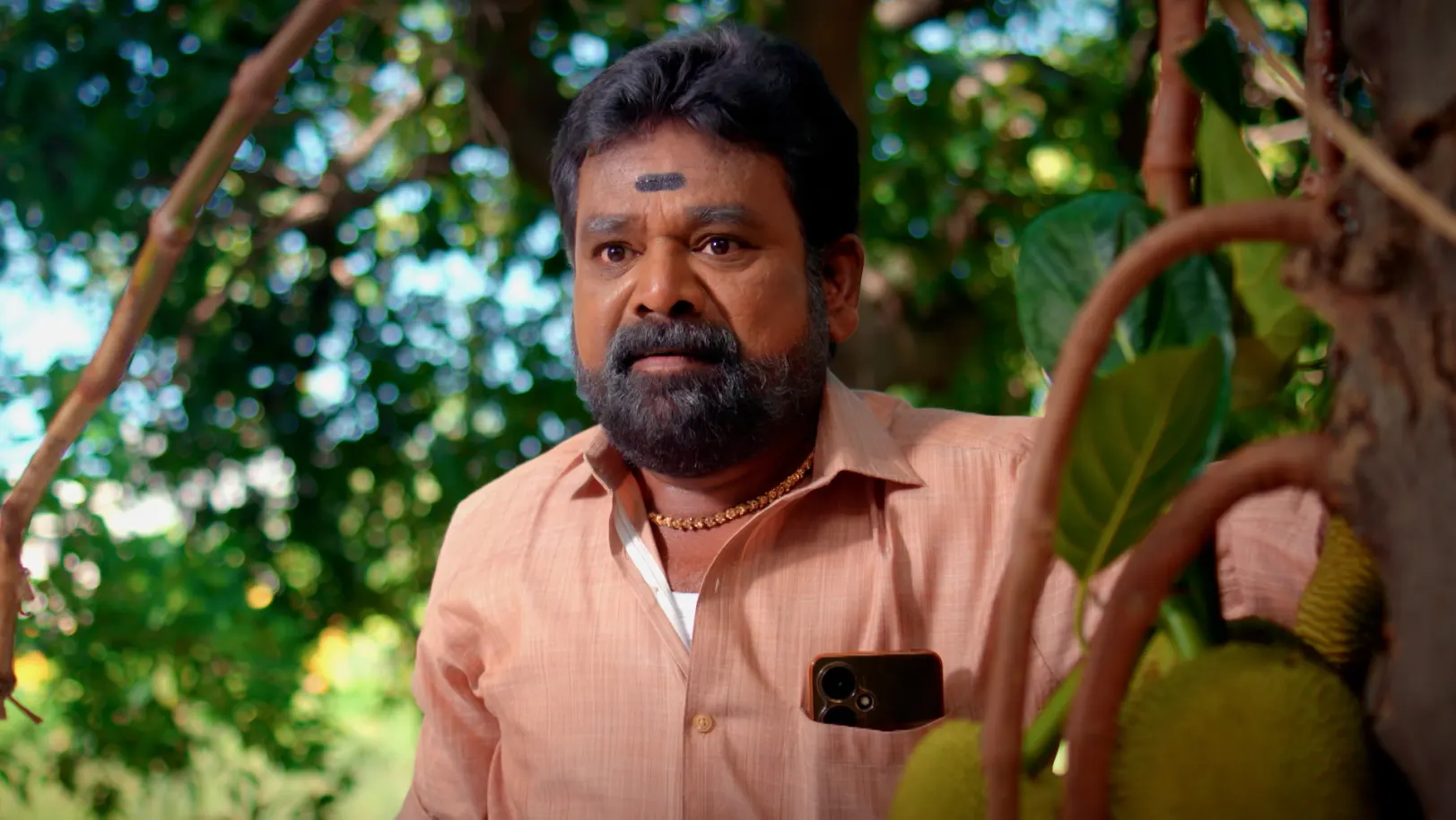 Karthigai Deepam - June 11, 2025 - Webisode 11th June 2025 Webisode