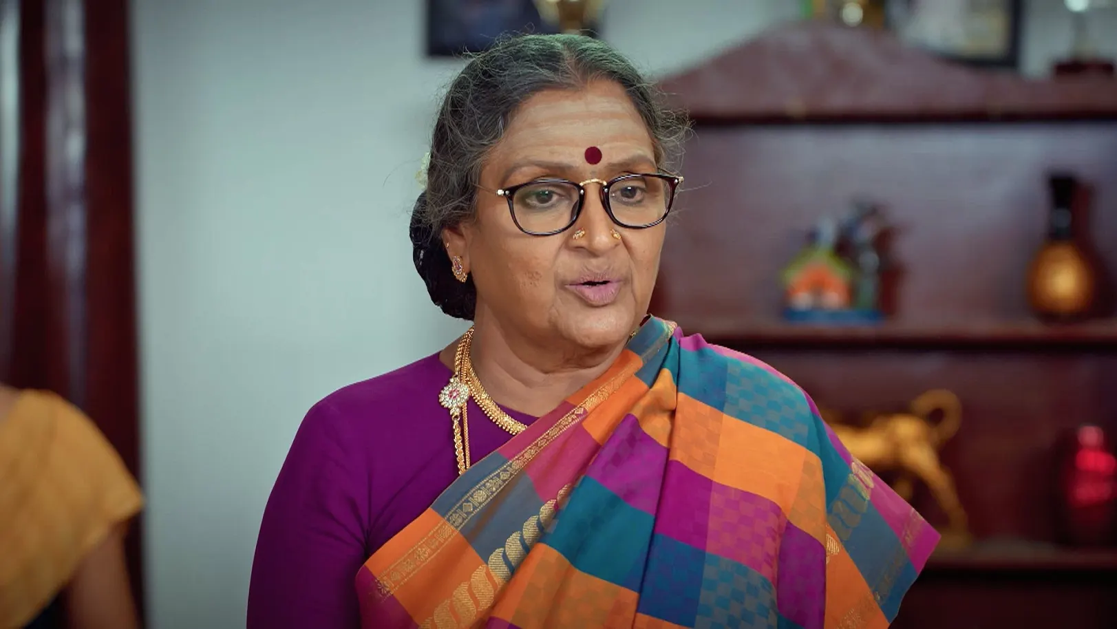 Karthigai Deepam - June 11, 2025 - Episode Spoiler