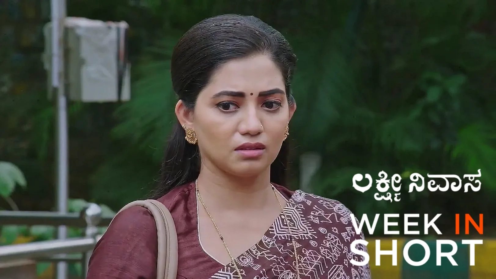 Lakshmi Nivasa | June 09 - June 13, 2025 14th June 2025 Webisode