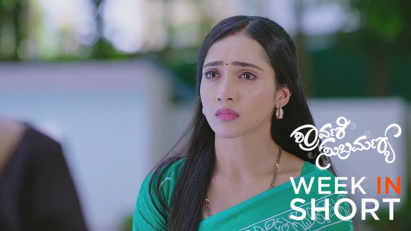 Shravani Subramanya | June 09 - June 13, 2025 14th June 2025 Webisode