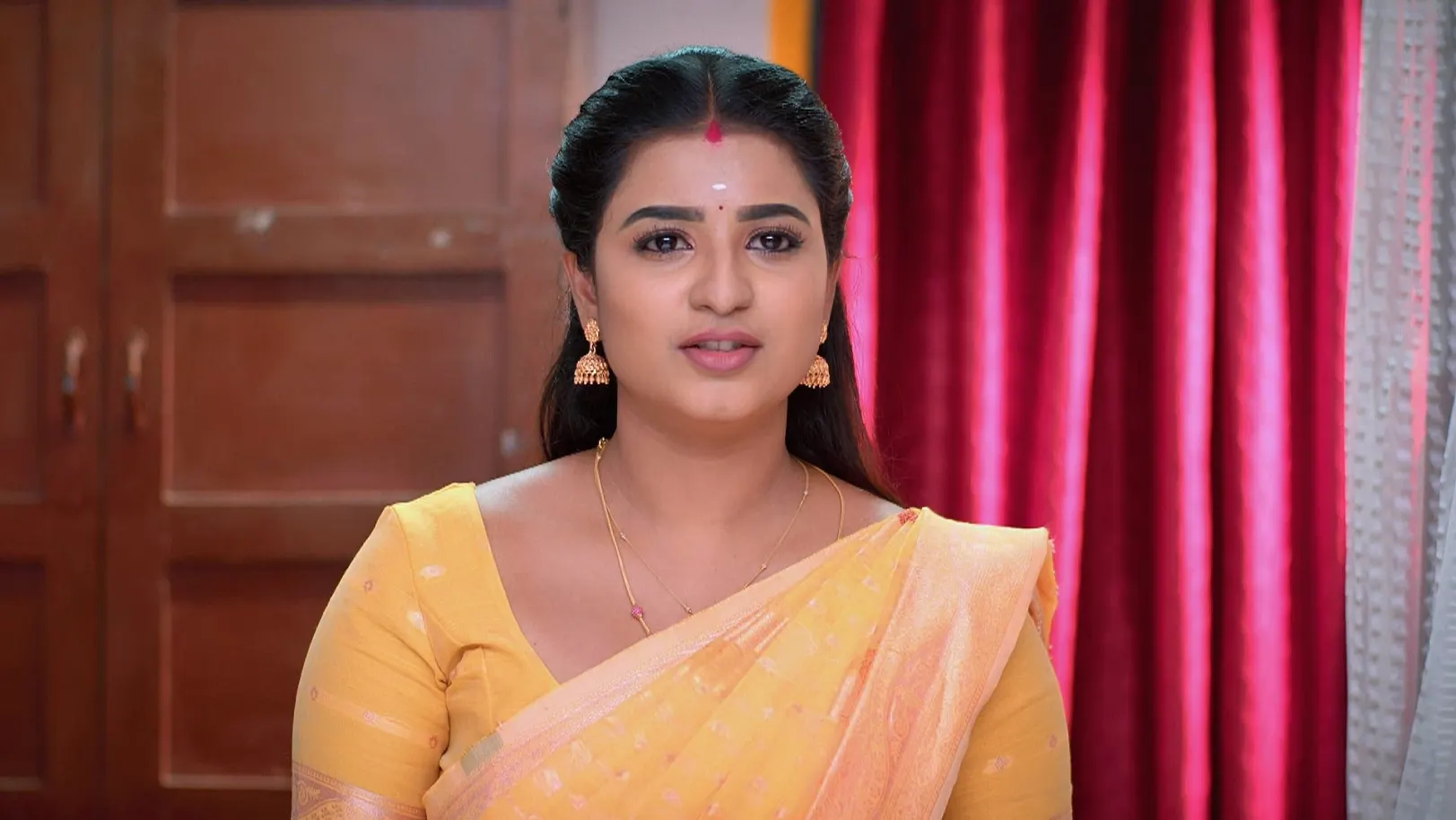 Karthigai Deepam - June 17, 2025 - Episode Spoiler