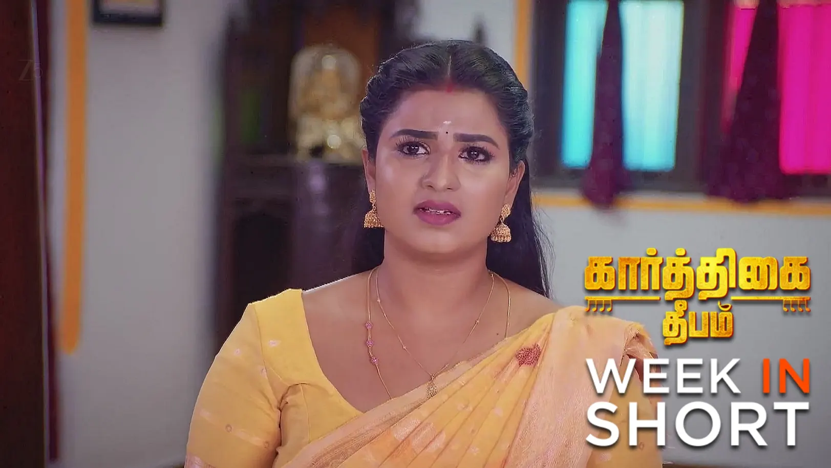 Karthigai Deepam | June 16 - June 20, 2025 undefined Webisode