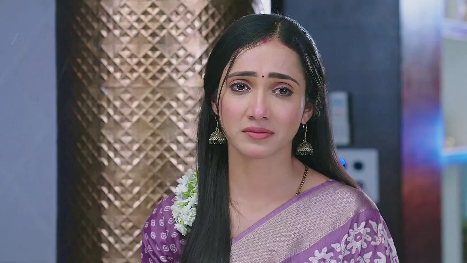 Veerendranath Takes Care of Subbu 25th June 2025 Webisode