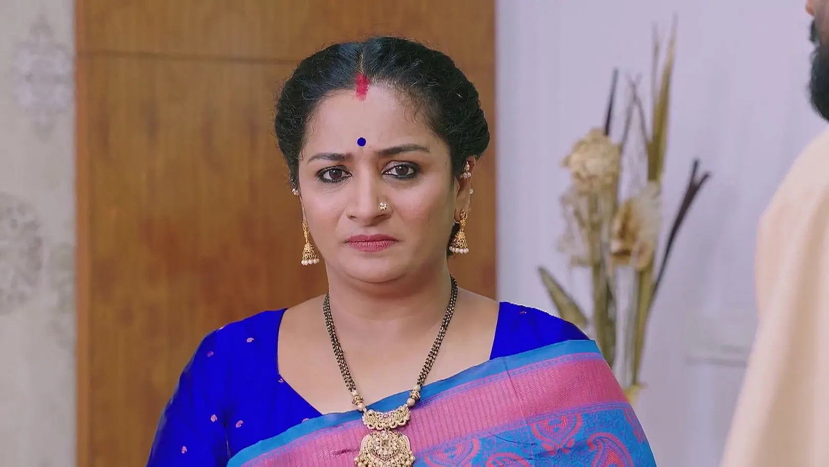 Shravani Subramanya - July 02, 2025 - Webisode 2nd July 2025 Webisode