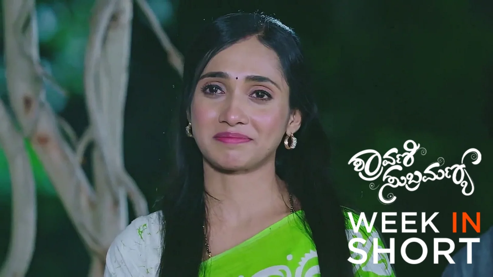 Shravani Subramanya | June 23 - June 27, 2025 28th June 2025 Webisode