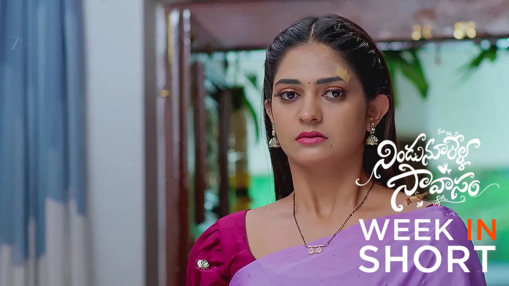 Nindu Noorella Saavasam | June 23 - June 28, 2025 29th June 2025 Webisode