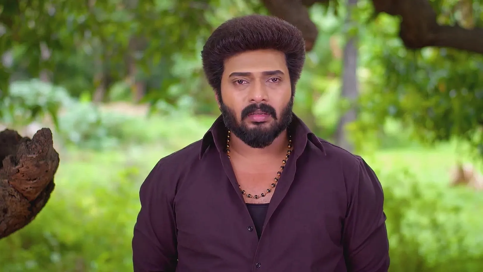 Karthigai Deepam - July 01, 2025 - Webisode 1st July 2025 Webisode