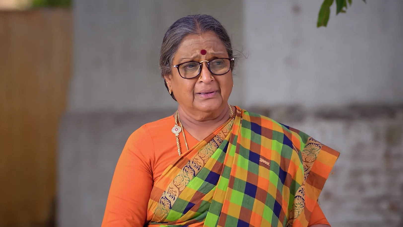 Karthigai Deepam - July 01, 2025 - Episode Spoiler