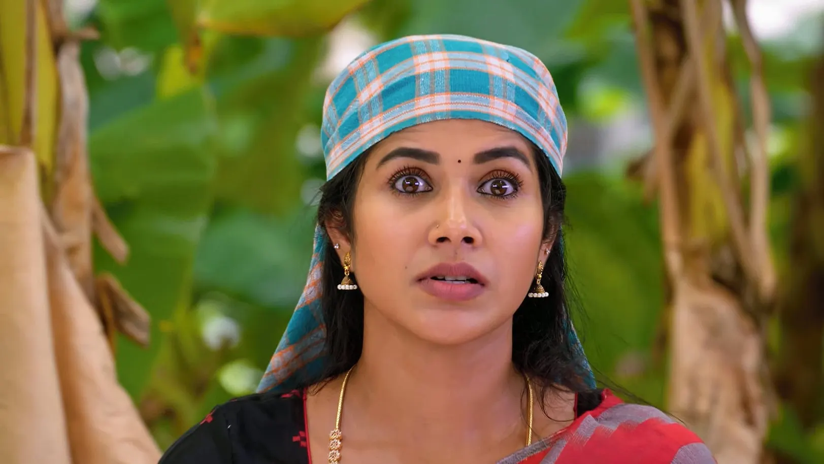 Karthigai Deepam - July 04, 2025 - Episode Spoiler