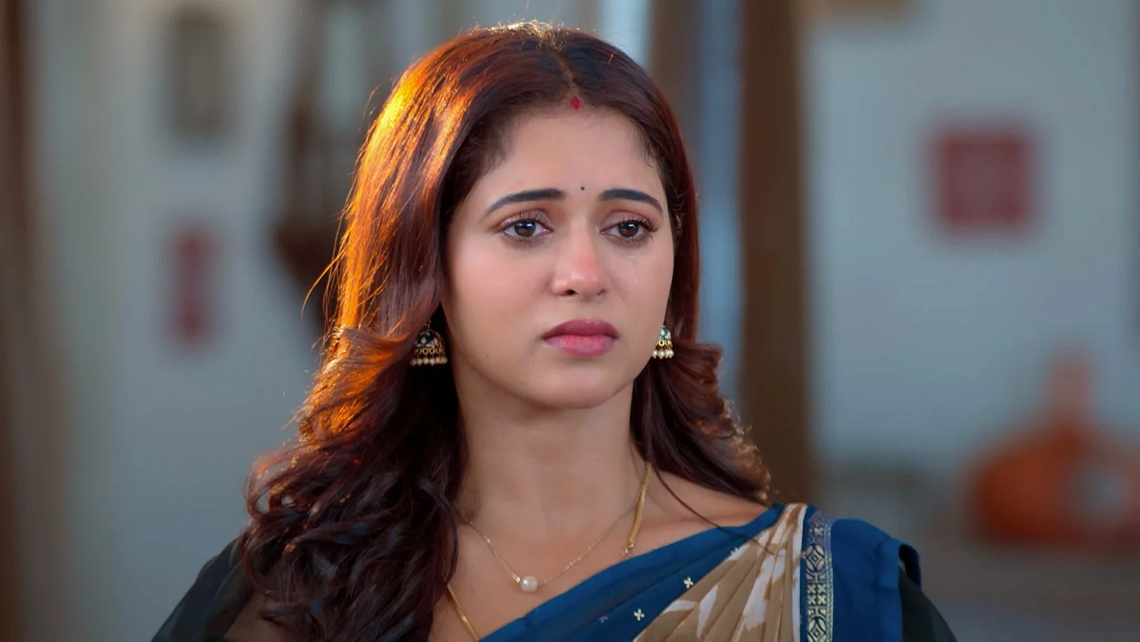 Sandhya Raagam - July 11, 2025 - Episode Spoiler