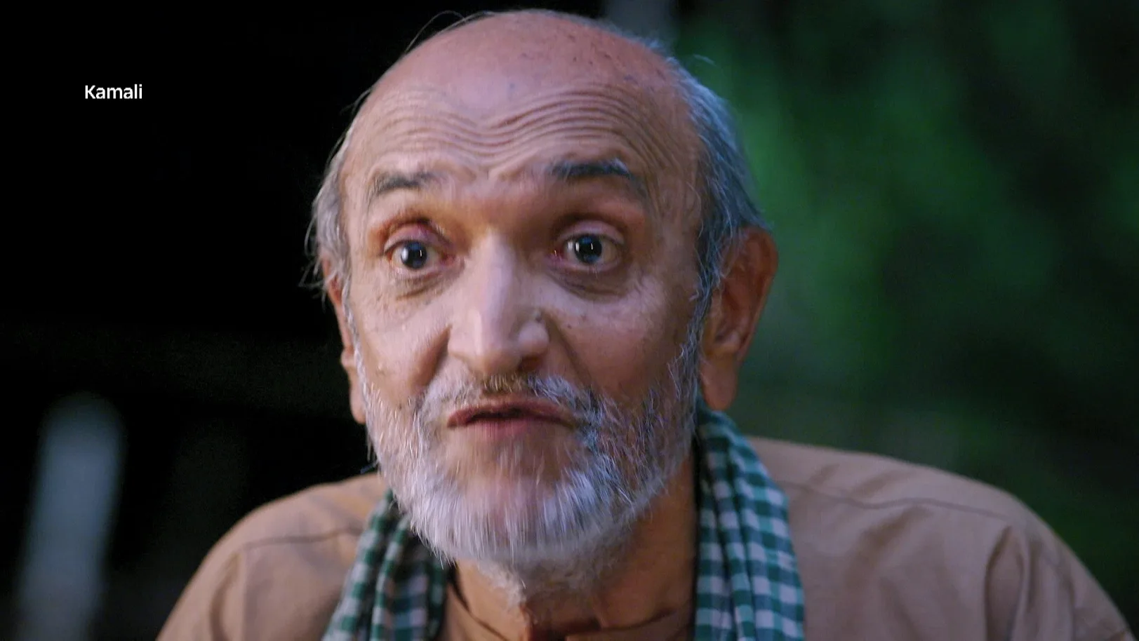 The Priest's Revelation about Annapoorna's Granddaughter - Kamali - Promo