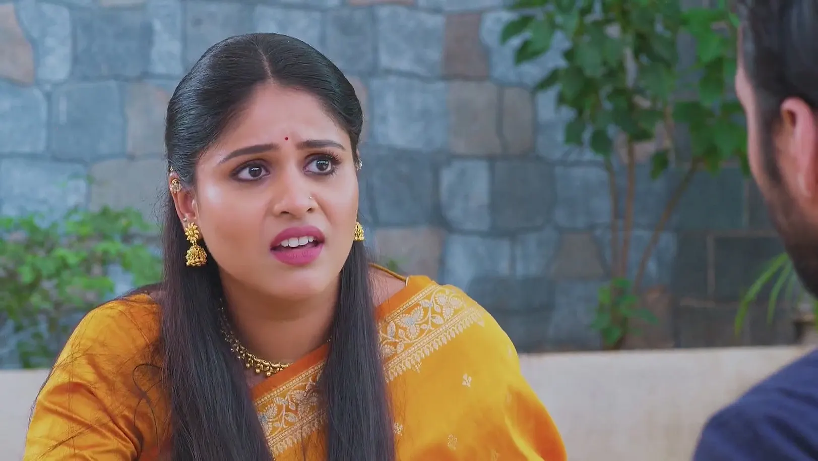 Lakshmi Niwas - July 14, 2025 - Webisode 14th July 2025 Webisode