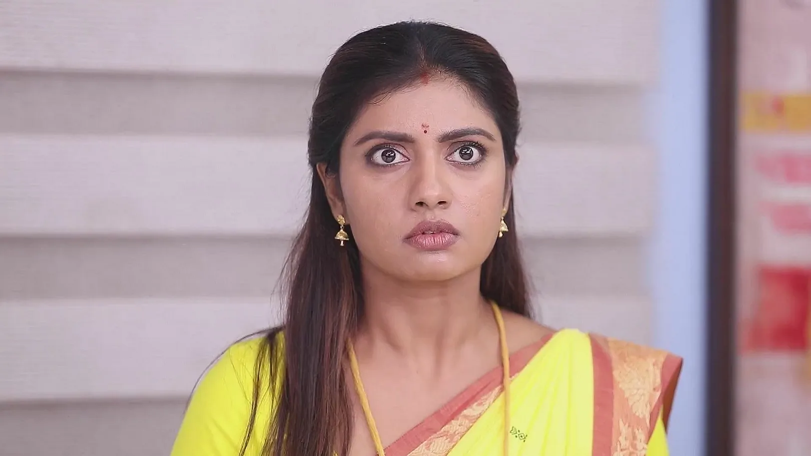 Swami Takes the Parrot 15th July 2025 Webisode