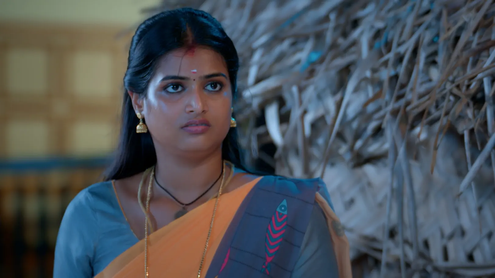 Veera - July 14, 2025 - Episode Spoiler