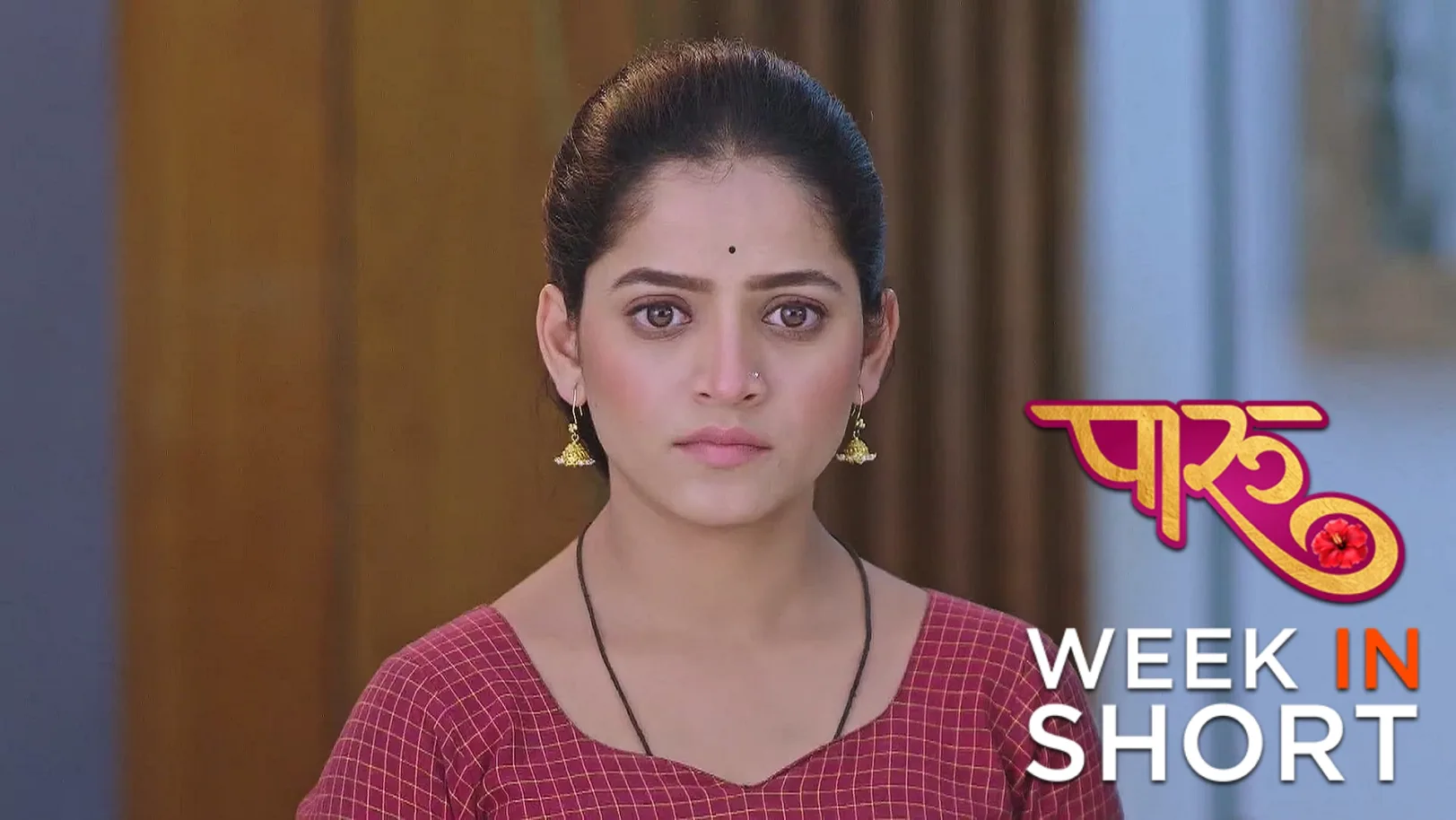 Paaru| July 14 - July 19, 2025 20th July 2025 Webisode