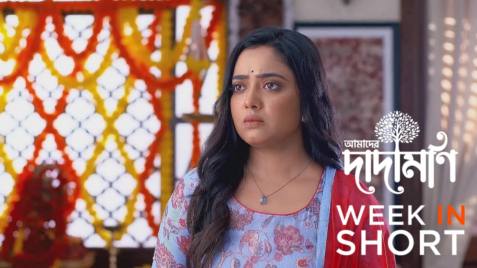 Amader Dadamoni | July 14 - July 19, 2025 20th July 2025 Webisode