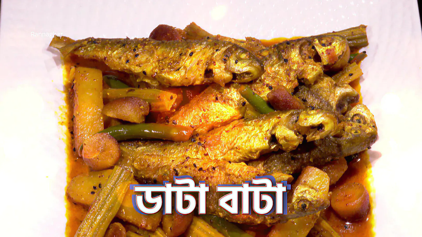 Flavours of Stems and Bones - Rannaghar - Promo