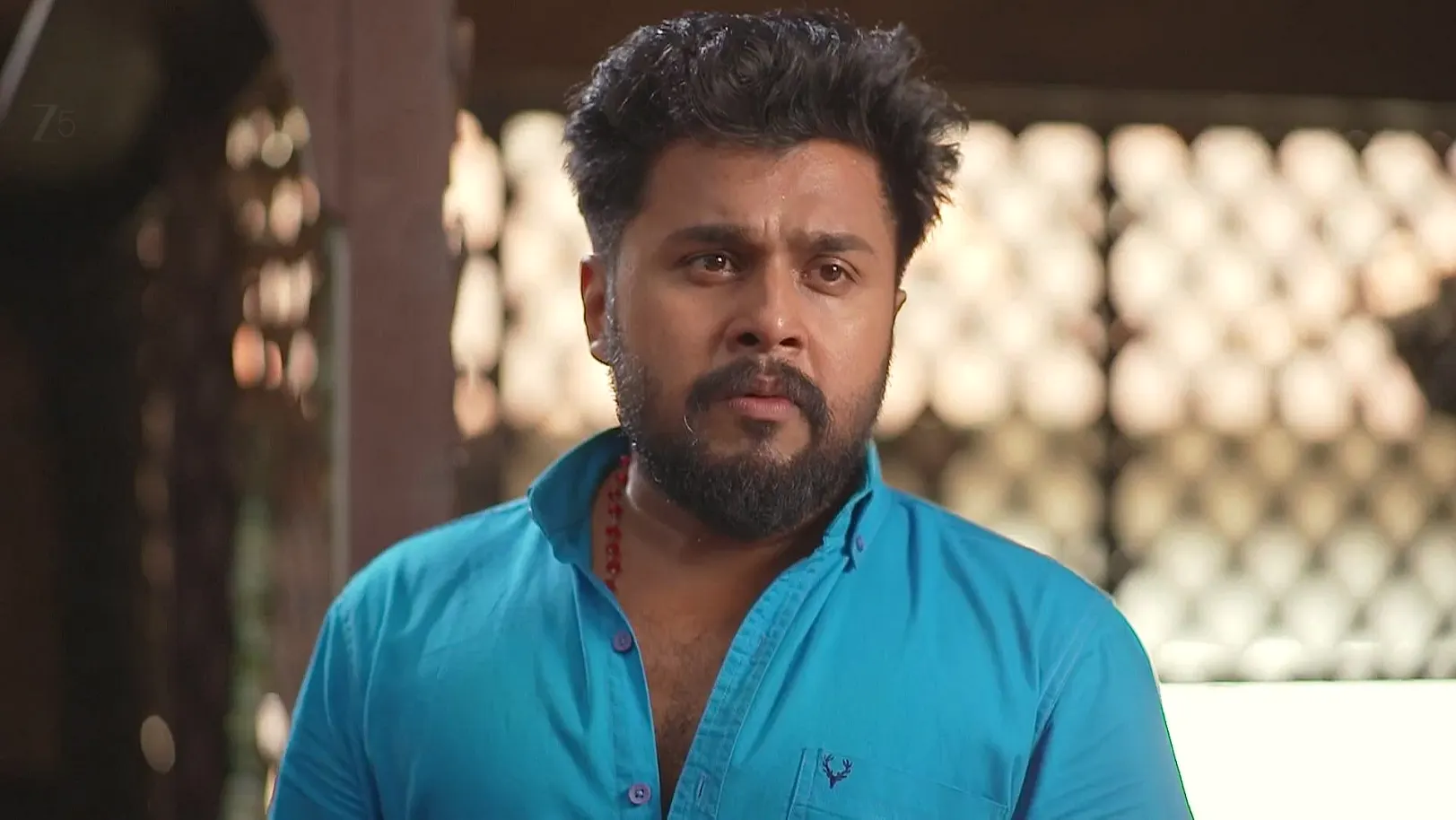Kudumbashree Sharada - August 03, 2025 - Webisode 3rd August 2025 Webisode
