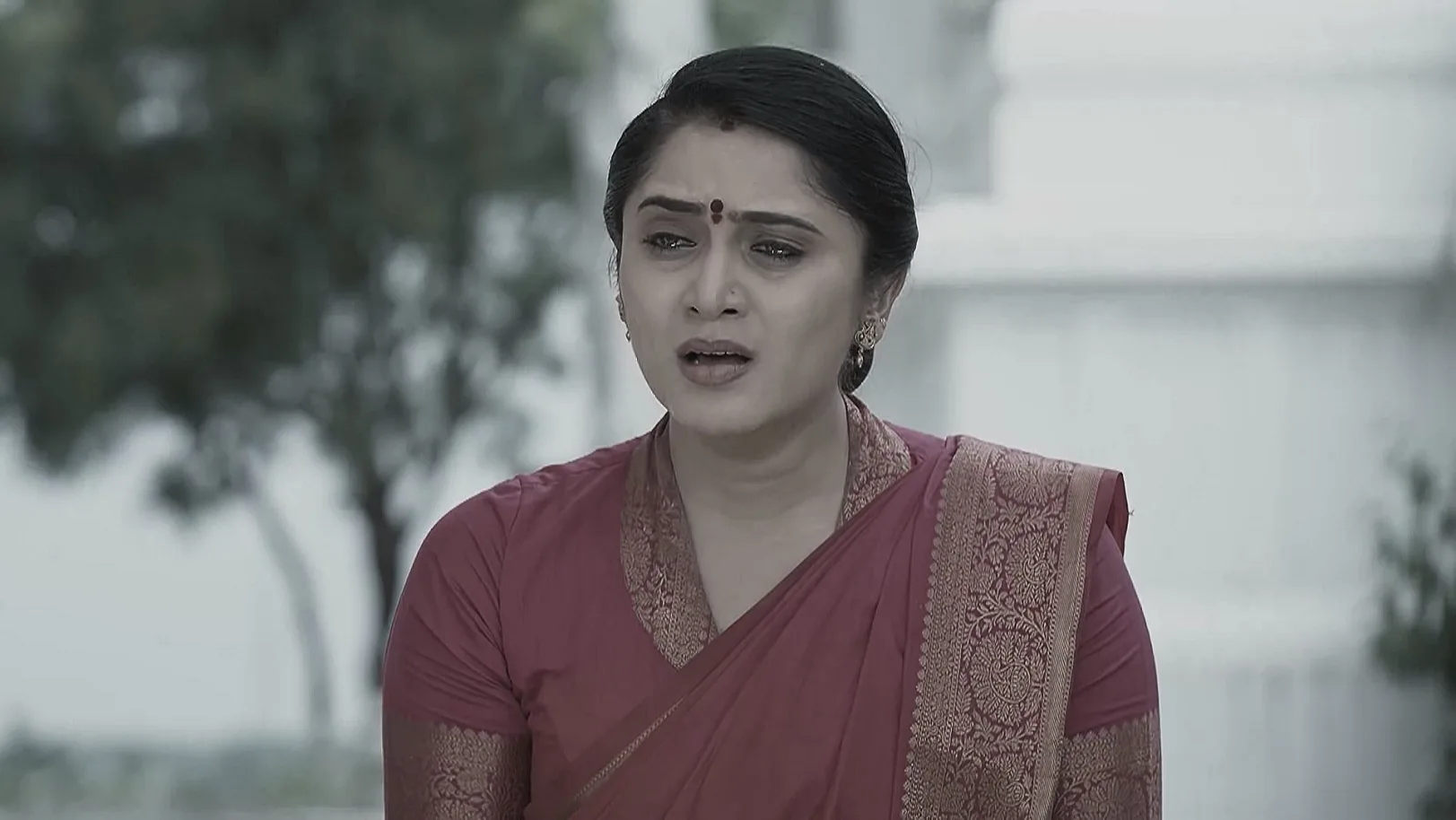 Meghasandesha - July 31, 2025 - Episode Spoiler