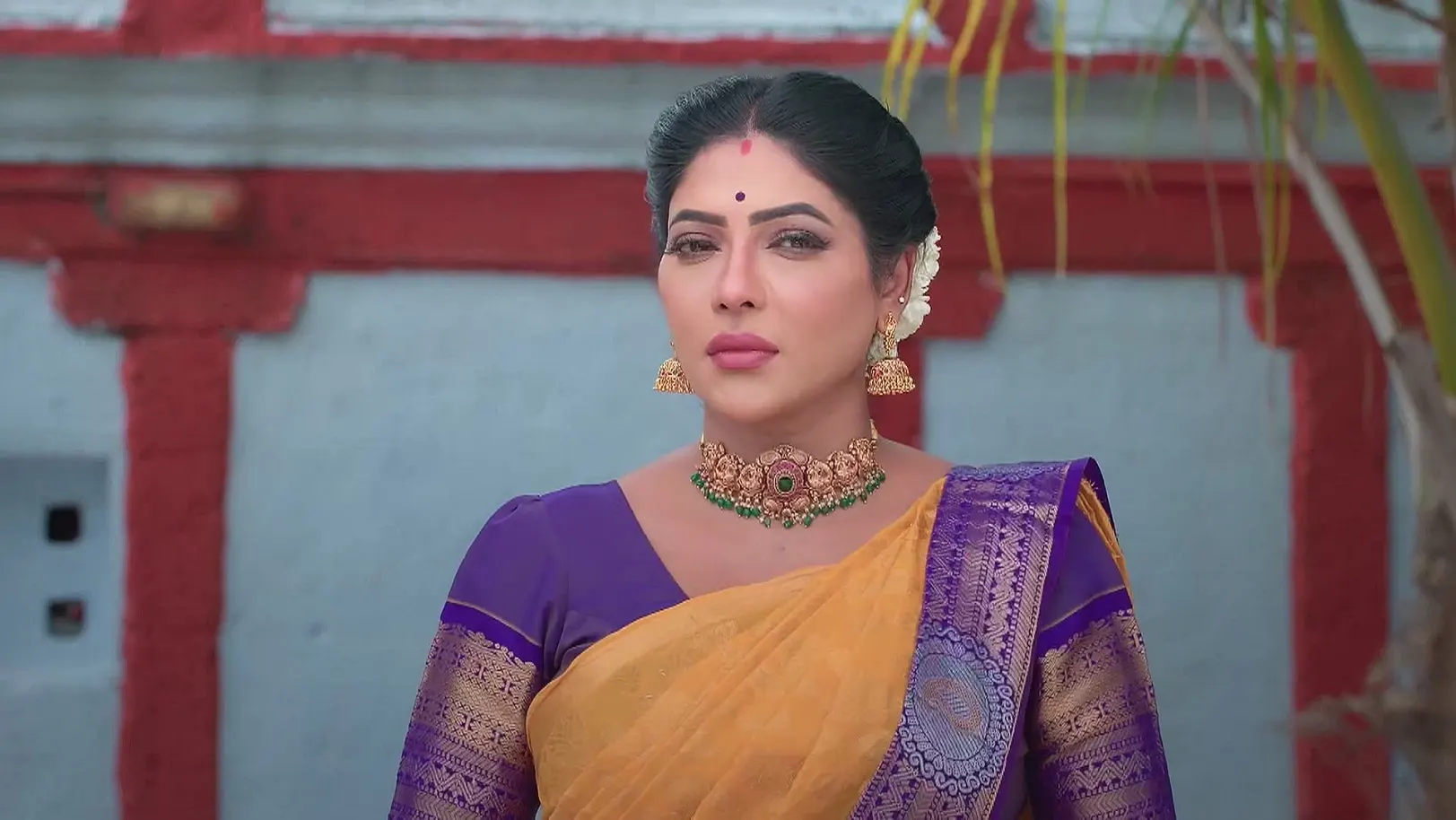Karthigai Deepam - July 31, 2025 - Webisode 31st July 2025 Webisode