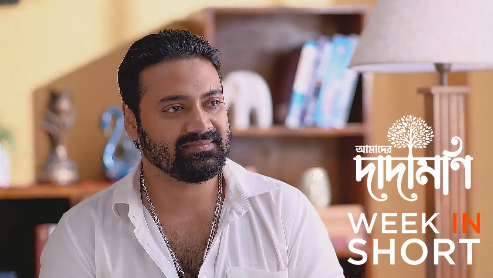 Amader Dadamoni | July 21 - July 26, 2025 27th July 2025 Webisode