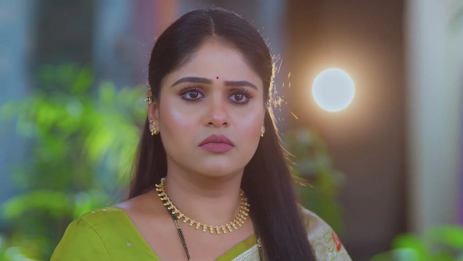 Lakshmi Niwas - August 05, 2025 - Webisode 5th August 2025 Webisode