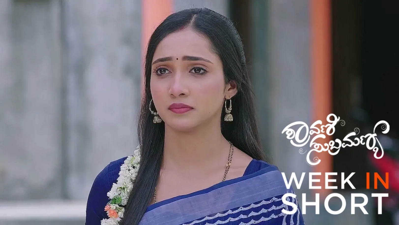 Shravani Subramanya | August 04 - August 08, 2025 9th August 2025 Webisode
