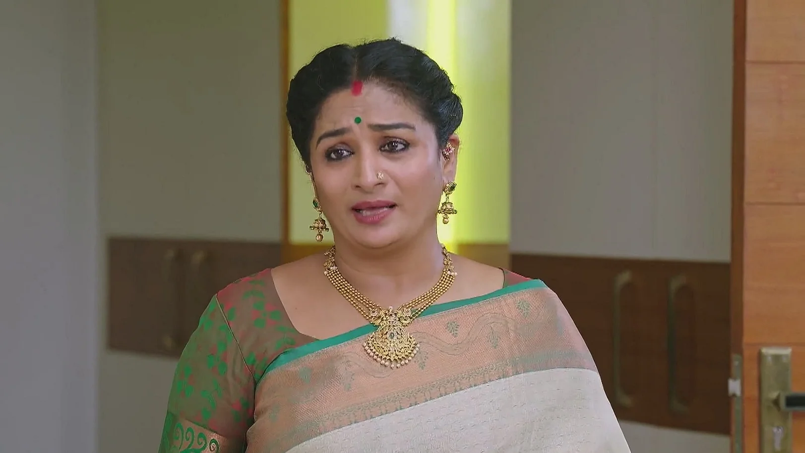 Vijaya's Words Hurt Shravani - Shravani Subramanya 