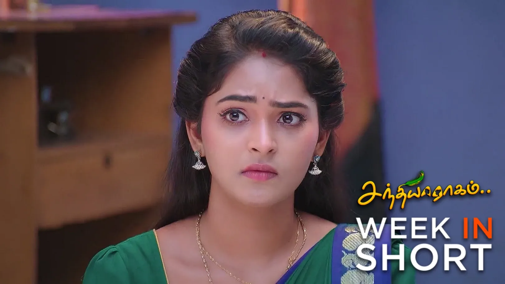 Sandhya Raagam | August 25 - August 30, 2025 31st August 2025 Webisode