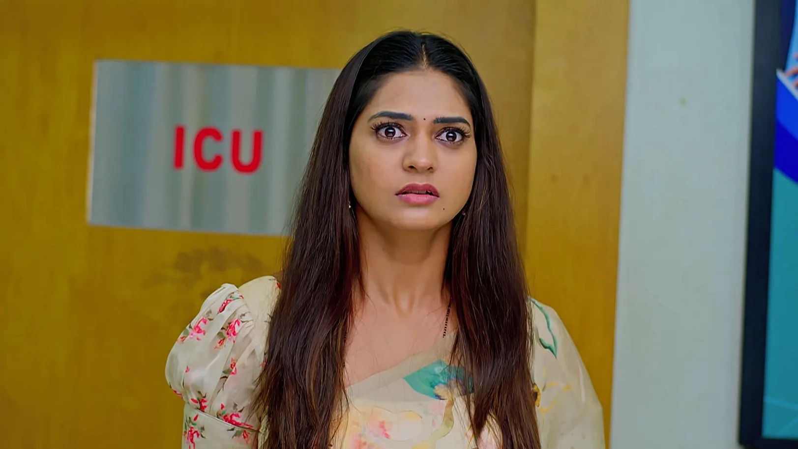 Nindu Noorella Saavasam - September 11, 2025 - Episode Spoiler