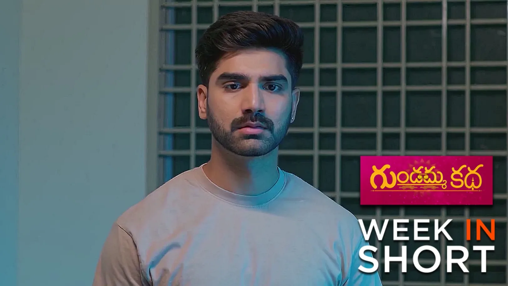 Gundamma Katha | September 14 - September 20, 2025 21st September 2025 Webisode