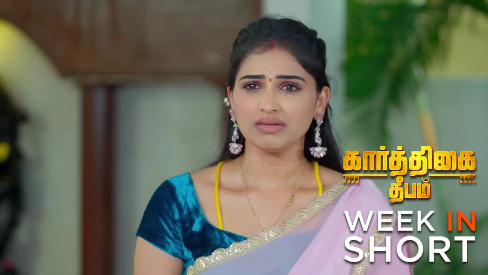 Karthigai Deepam | September 22 - September 27, 2025 28th September 2025 Webisode