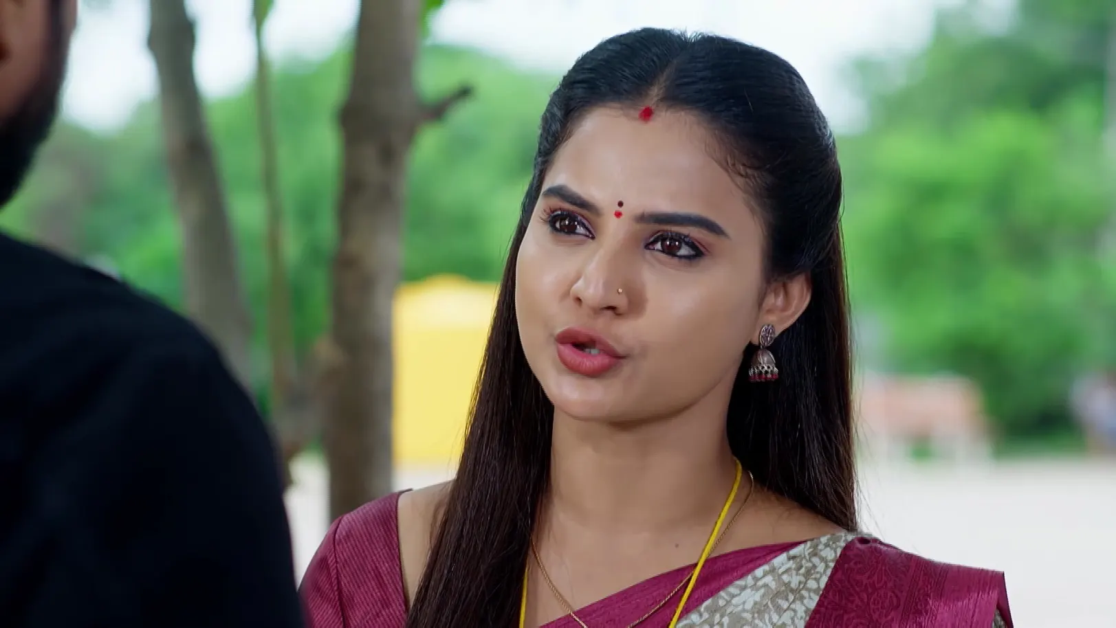 Hrudaya Geethe - October 12, 2025 - Episode Spoiler