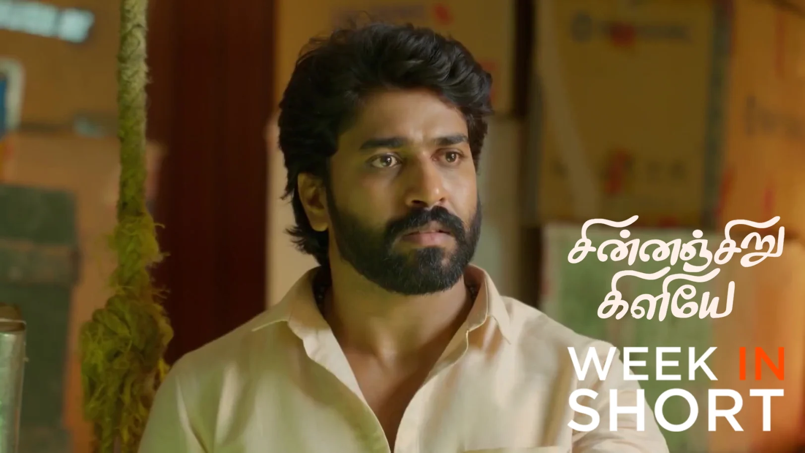 Chinnan Siru Kiliye | October 06 - October 10, 2025 11th October 2025 Webisode