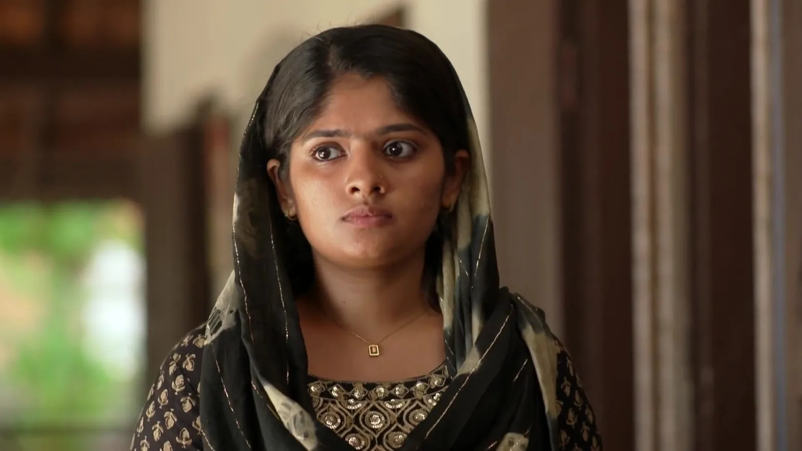 Sharada Advises Noorjahan - Kudumbashree Sharada 