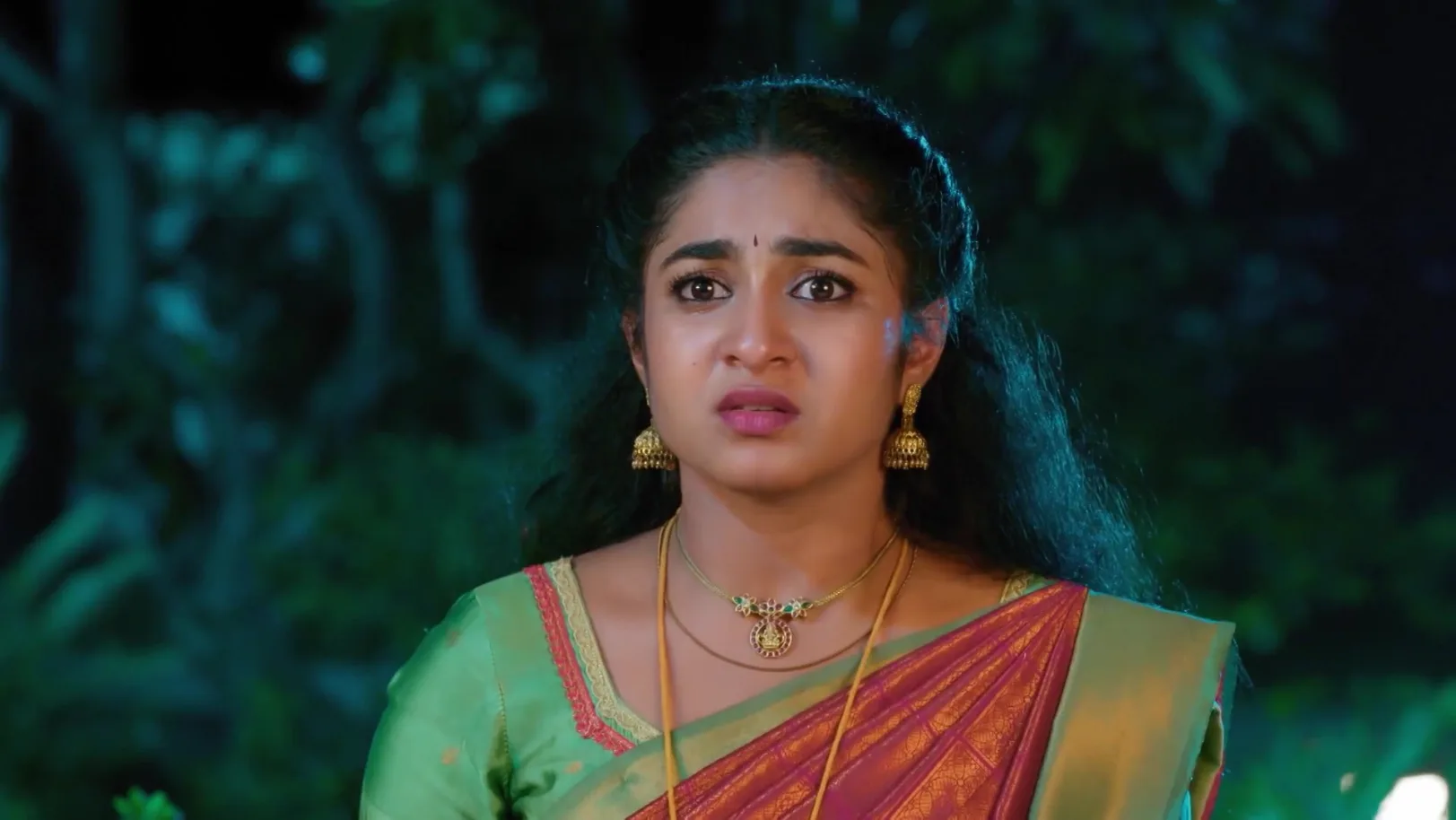 Indhu Takes up a Task 21st October 2025 Webisode