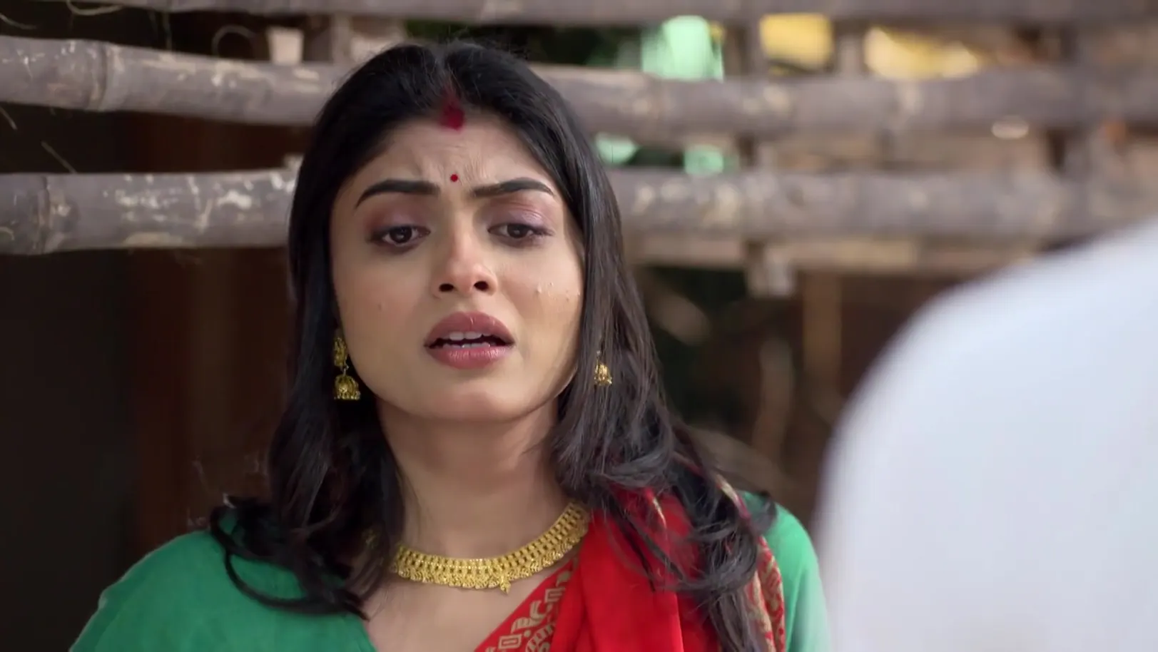 Parineeta - November 15, 2025 - Webisode 15th November 2025 Webisode