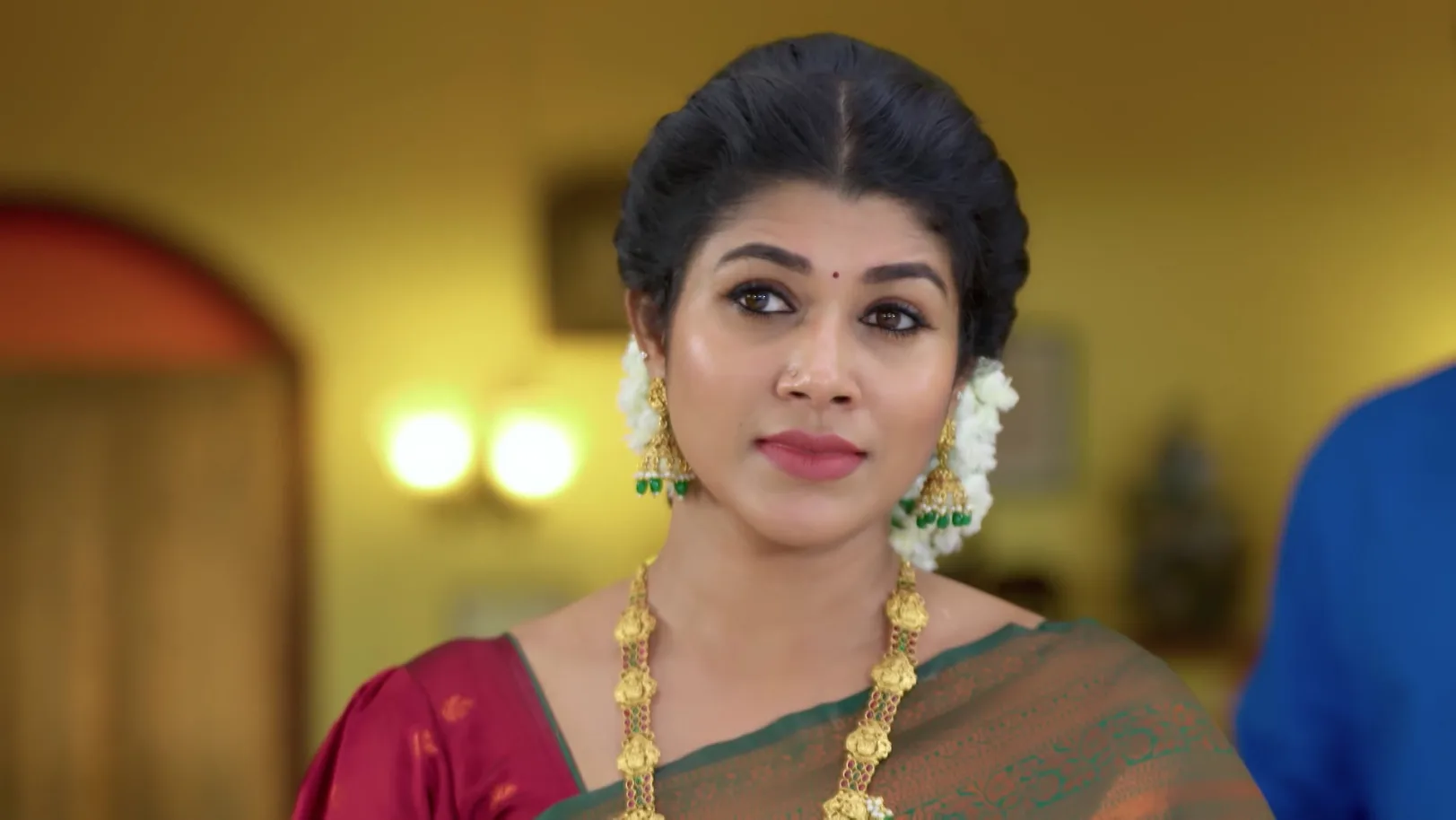 Sandhya Raagam - November 17, 2025 - Episode Spoiler