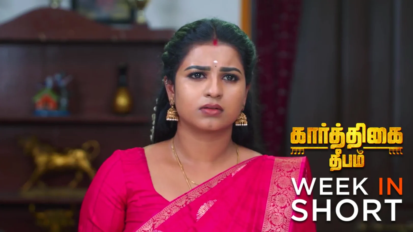 Karthigai Deepam | November 03 - November 08, 2025 9th November 2025 Webisode