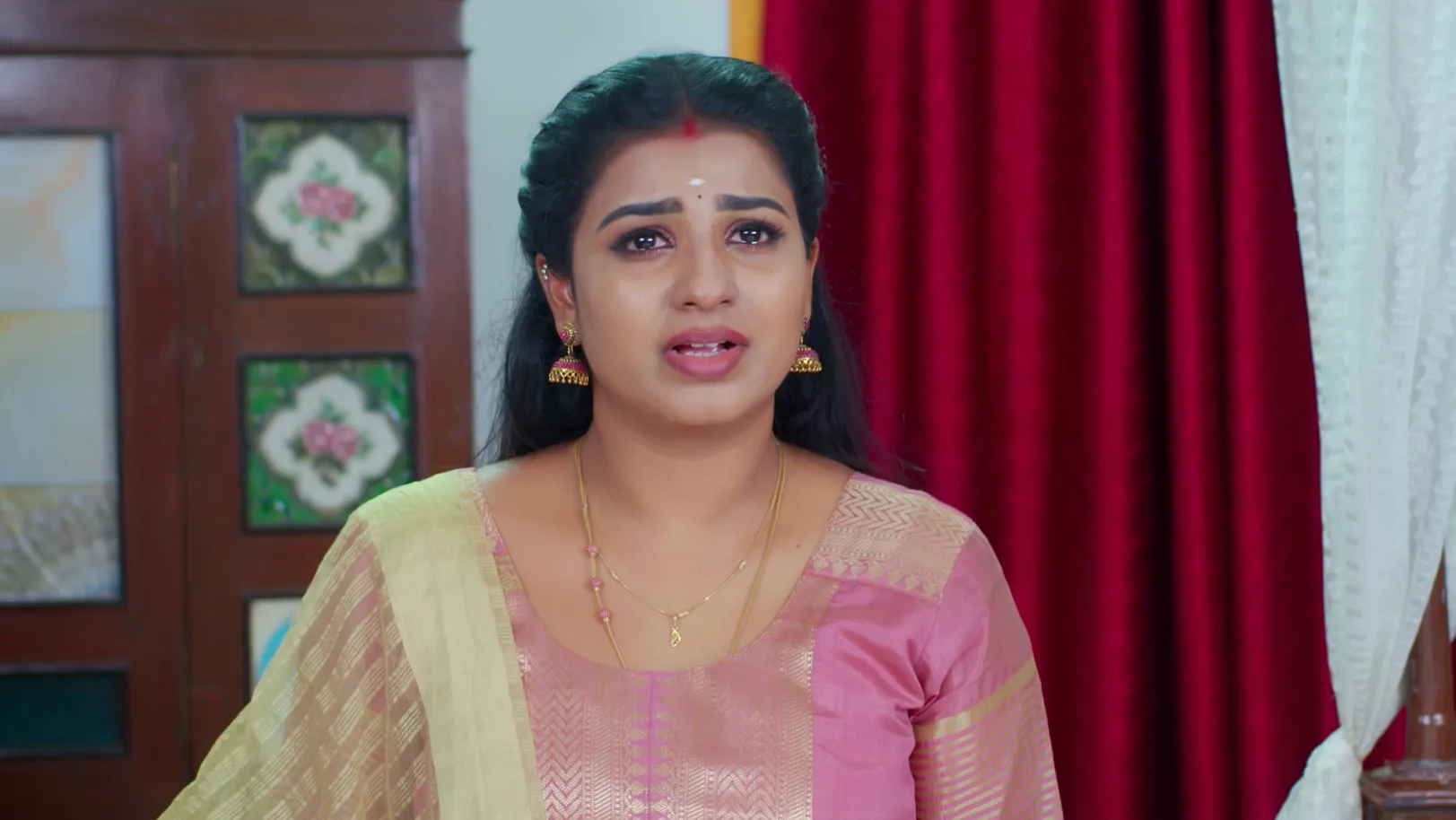 Karthigai Deepam - November 11, 2025 - Episode Spoiler