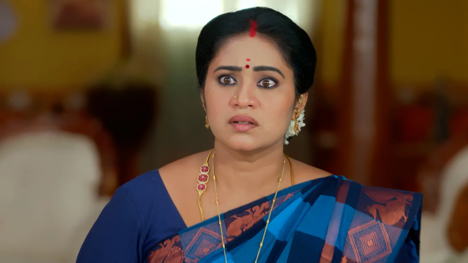 Sandhya Raagam - November 19, 2025 - Episode Spoiler